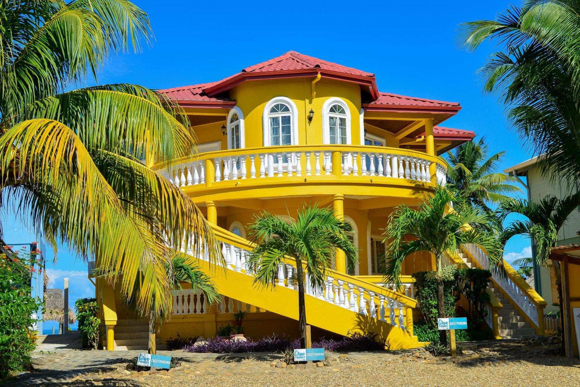Blue Parrot Beach House And Villas Hopkins Dış mekan fotoğraf